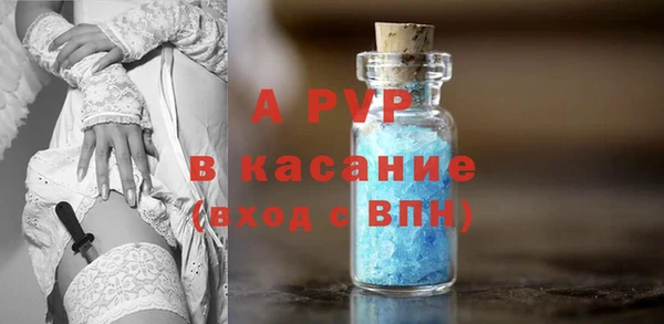 стаф Белокуриха