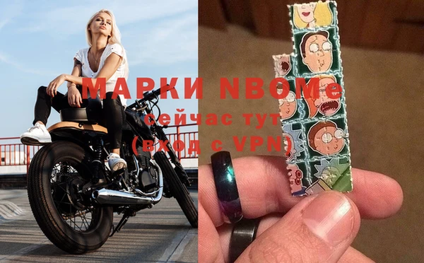 стаф Белокуриха