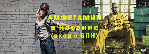 стаф Белокуриха