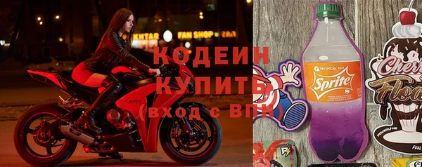 стаф Белокуриха