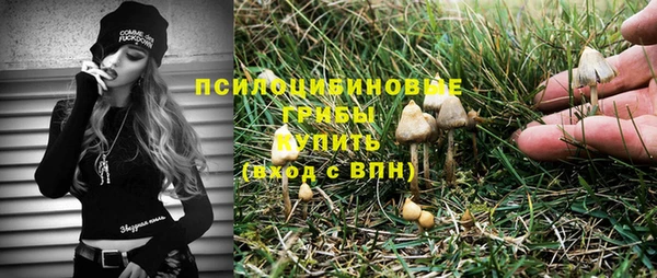 стаф Белокуриха