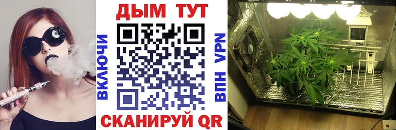 МАРИХУАНА AK-47  kraken tor  Сковородино 